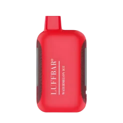 LUFFBAR TT9000 DISPOSABLE