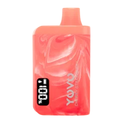 CHERRY STRAWBERRY YOVO JB8000